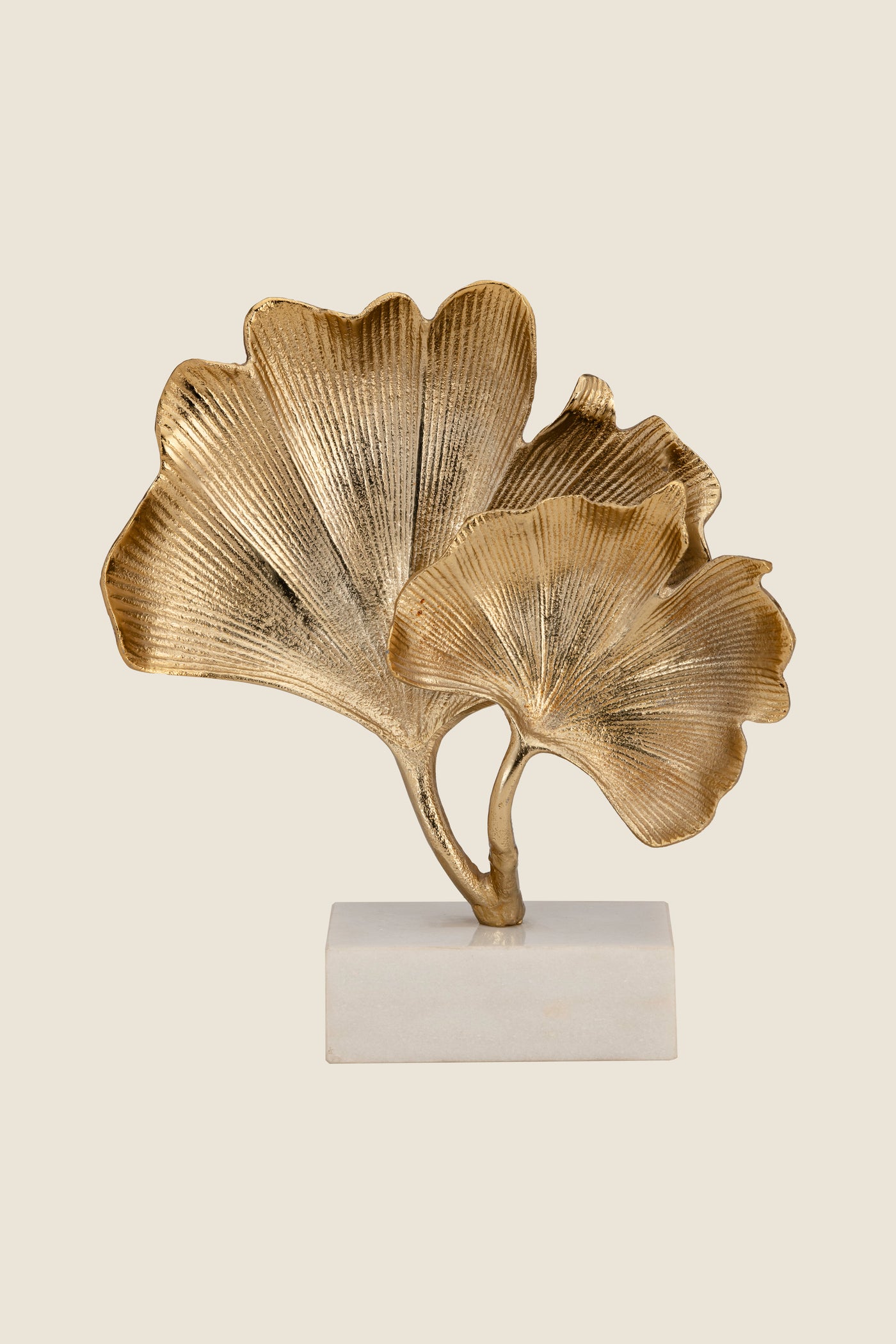 Ginkgo leaf decor