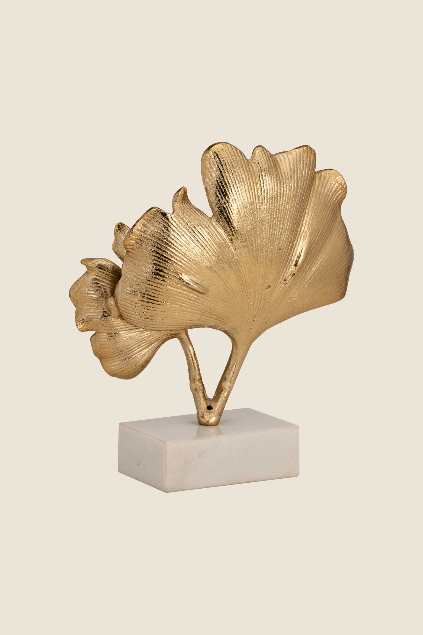 Ginkgo leaf decor